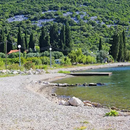 Pjestata 14440c 스톤